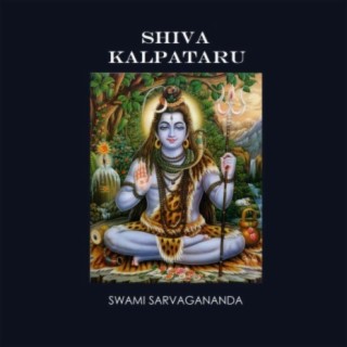 Shiva Kalpataru