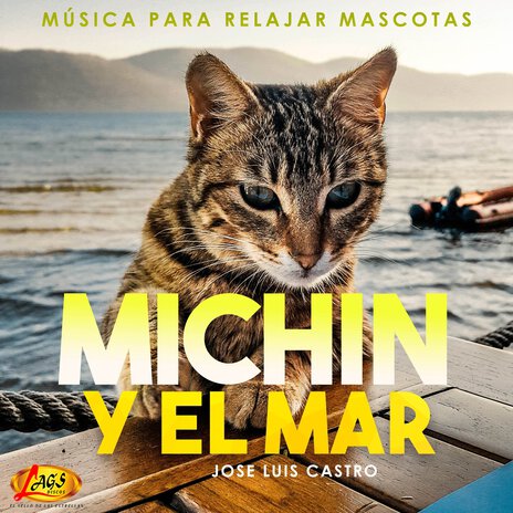 Michin y El Mar (Música Para Relajar Mascotas) | Boomplay Music