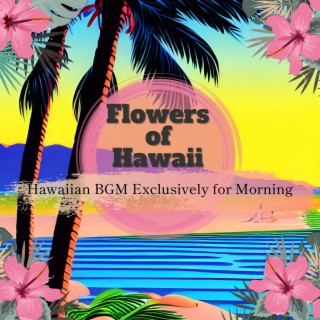 Hawaiian Bgm Exclusively for Morning