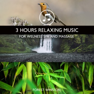 3 Hours Relaxing Music for Welness Spa and Massage: 50 Nature Sounds (Singing Birds, Waterfall, Bubbling Brooks, Ocean, Thunderstorm & Natural Forest Ambience)