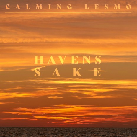 Havens sake | Boomplay Music