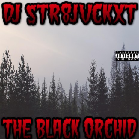 The Black Orchid | Boomplay Music