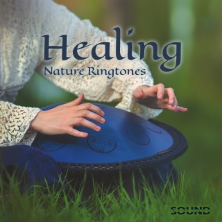 Healing Nature Ringtones: Hang Drum with Singing Birds & Calming Water