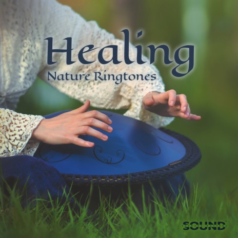 Natural Meditation | Boomplay Music