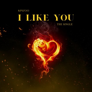 I Like You lyrics | Boomplay Music