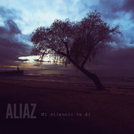 Mi silencio te di (Version 2022 - Instrumental) | Boomplay Music