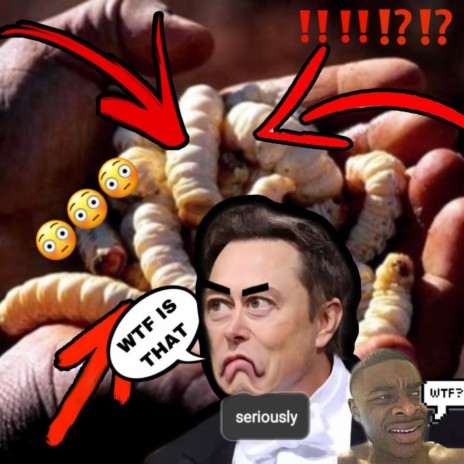 WTF Is A Witchetty Grub Elon Musk (28th June 1971 To 19th August 2023)