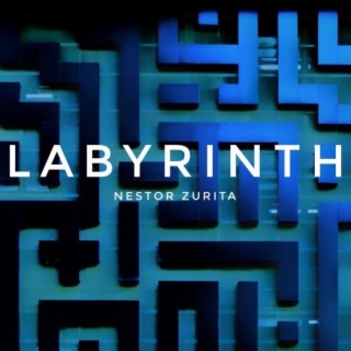 THE LABYRINTH