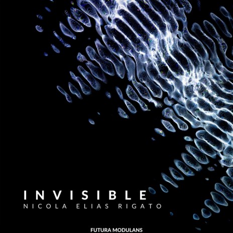 Invisible