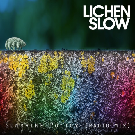 Sunshine Policy (Radio Mix) | Boomplay Music