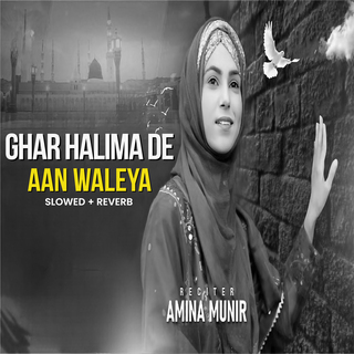 Ghar Halima De Aan Waleya (Lofi-Mix)