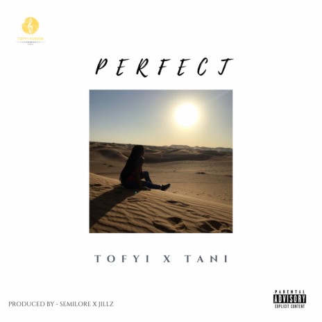 Perfect ft. Tani | Boomplay Music