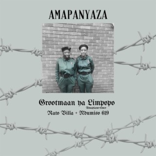 Amapanyaza