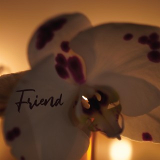 Friend lyrics | Boomplay Music