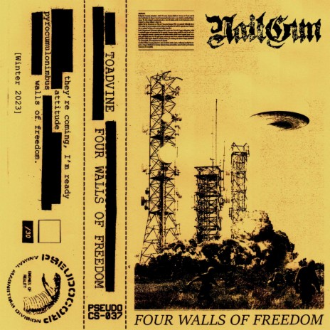 Four Walls of Freedom | Boomplay Music