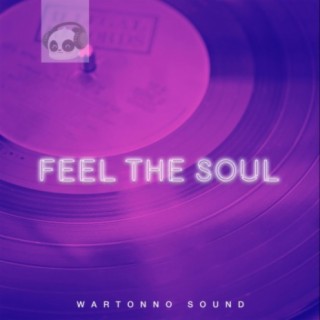 Feel the Soul