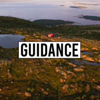 GUIDANCE