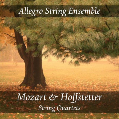 String Quartet No. 17 in B-Flat Major, K. 458; Op. 10 No. 3: III. Adagio | Boomplay Music