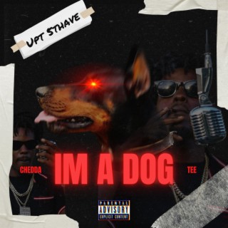 Im A Dog lyrics | Boomplay Music