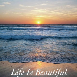 Life Is Beautiful lyrics | Boomplay Music