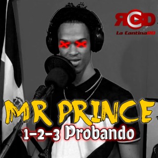 1-2-3 Probando Mr Prince