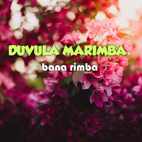 Bana Rimba | Boomplay Music