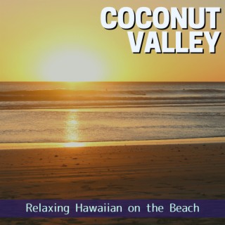 Relaxing Hawaiian on the Beach