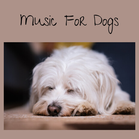 Joyful Sleep ft. Music For Dogs Peace, Relaxing Puppy Music & Calm Pets Music Academy | Boomplay Music