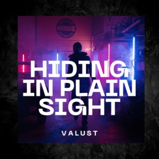 Hiding in Plain Sight lyrics | Boomplay Music