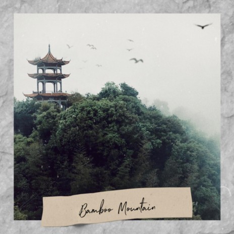 Bamboo Mountain | Boomplay Music
