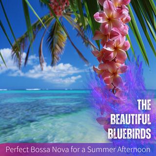 Perfect Bossa Nova for a Summer Afternoon