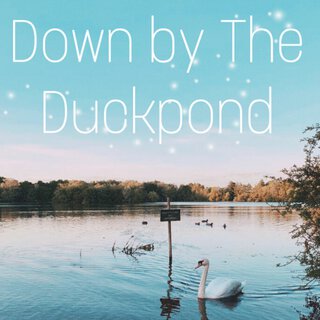 Down by the Duckpond