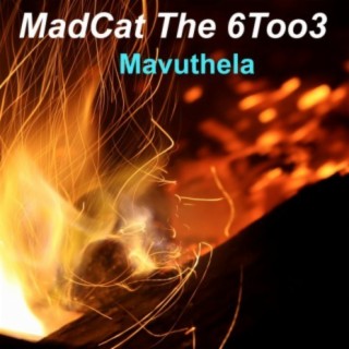MadCat The 6Too3