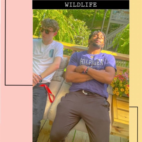 Wild Life | Boomplay Music