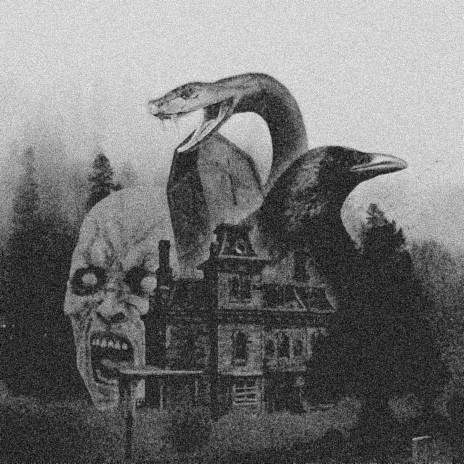 Graveyard snakes | Boomplay Music