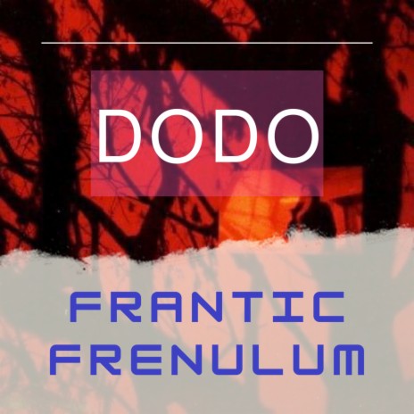 FRANTIC FRENULUM | Boomplay Music