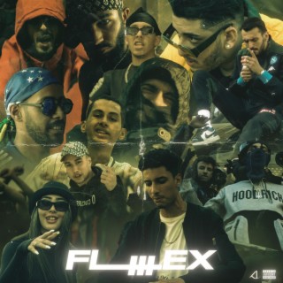 FLEX V3
