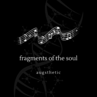 fragments of the soul