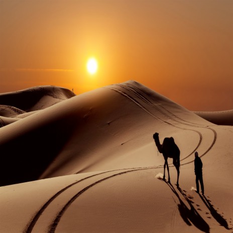 Desert Camel | Boomplay Music
