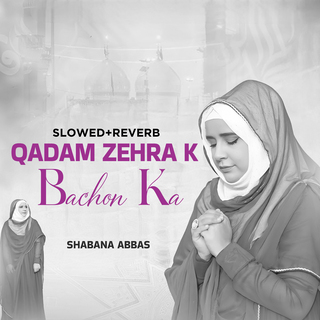 Qadam Zehra K Bachon Ka (Lofi-Mix)