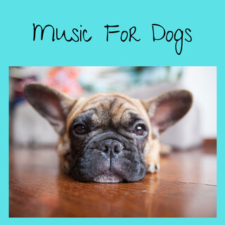 Music For Dogs