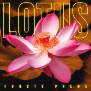 Lotus