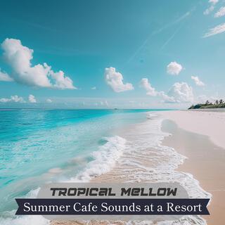 Summer Cafe Sounds at a Resort