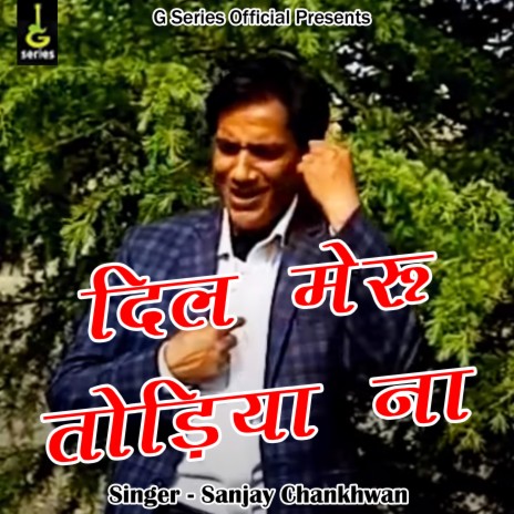 Dil Meru Todiya Na | Boomplay Music