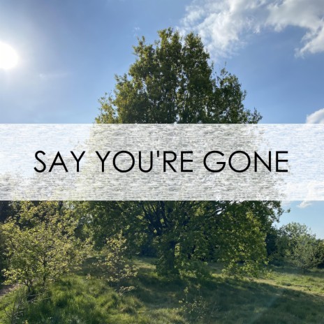 Say You're Gone (single version) | Boomplay Music