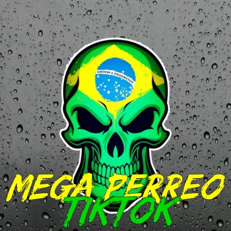Mega Perreo TikTok | Boomplay Music