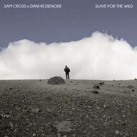 Slave for the Wild ft. Dani Rosenoer | Boomplay Music