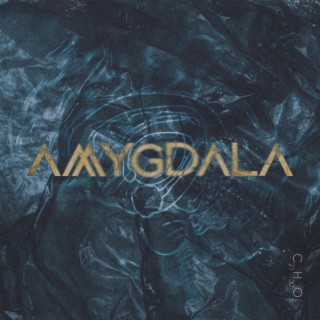 amygdala lyrics | Boomplay Music