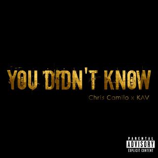 You Didn't Know (feat. KAV)