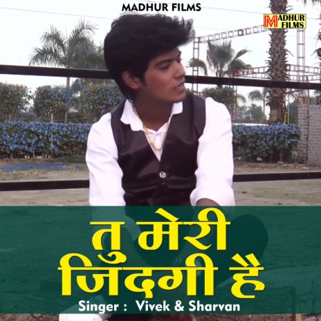 Tu Meri Jindagi Hai (Hindi) ft. Sharvan